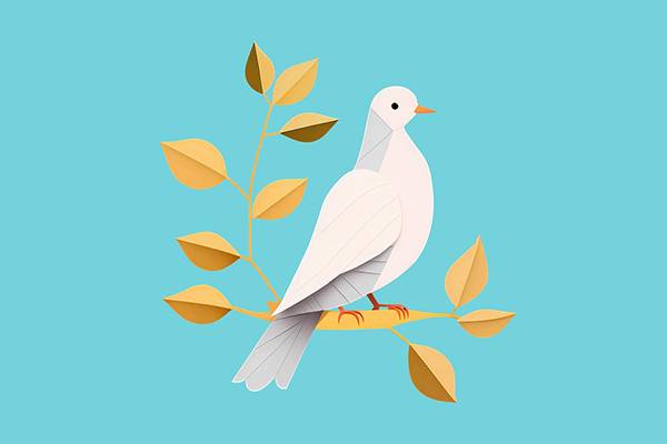 Quelle: Pixabay, https://pixabay.com/illustrations/dove-peace-dove-of-peace-7832401/